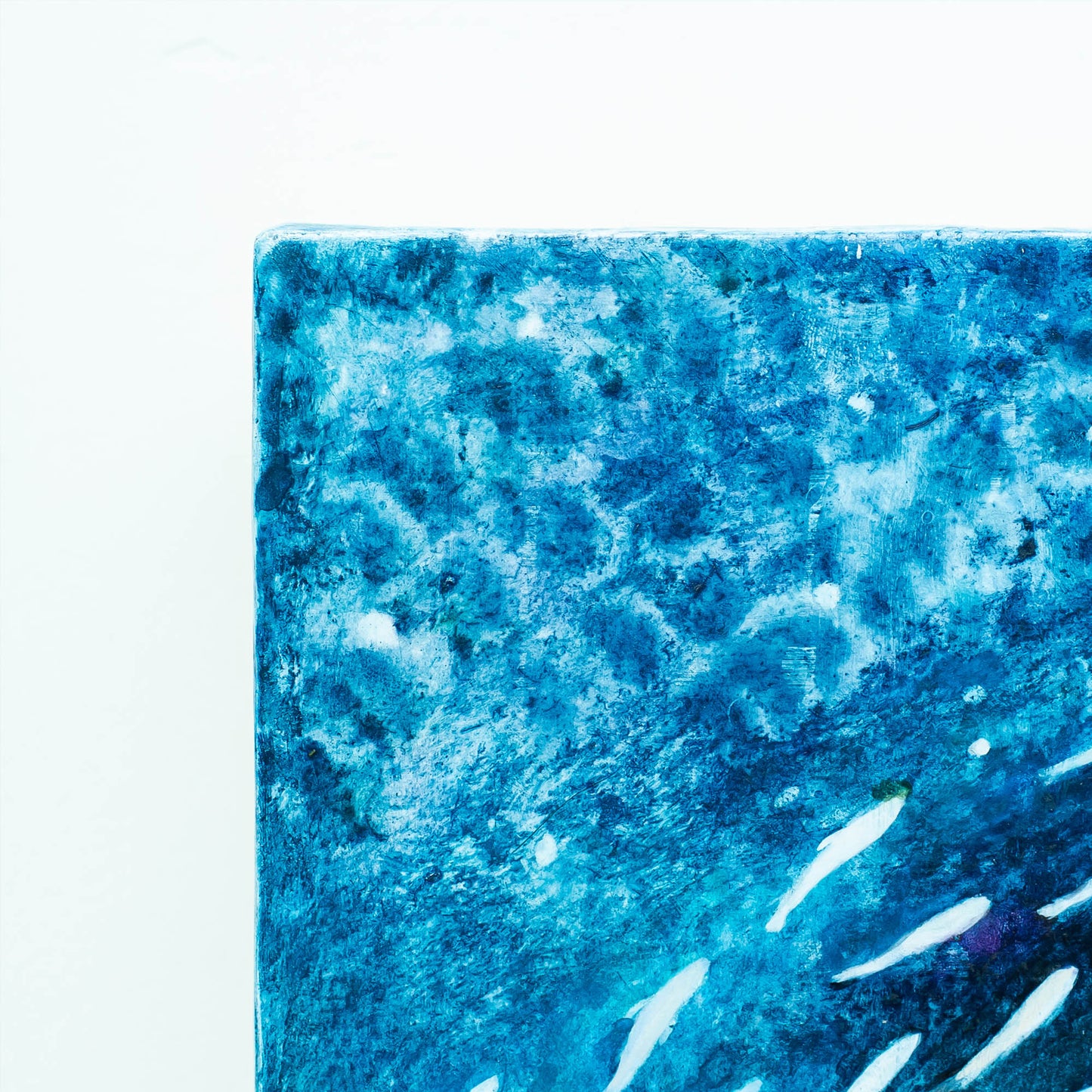 久保晶 | 水中の星たち