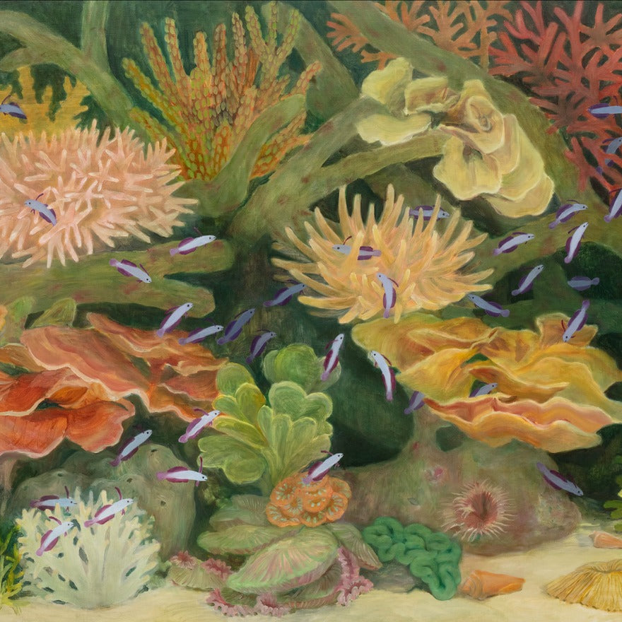 長田沙央梨 | Finding a Place of Peace（Fish）