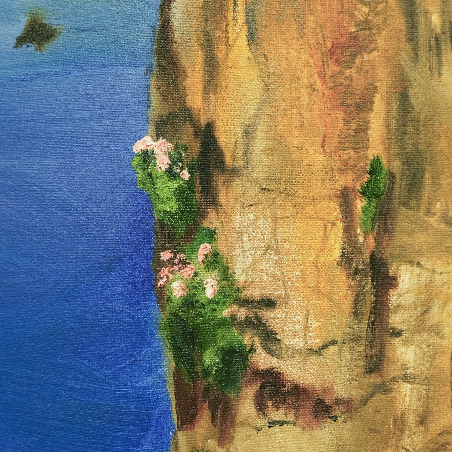 福原優太 | At Osezaki Lighthouse