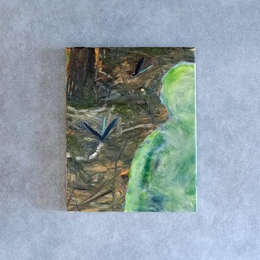 福原優太 | Ohaguro dragonflies at Myojoin