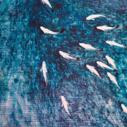 久保晶 | 潮の道