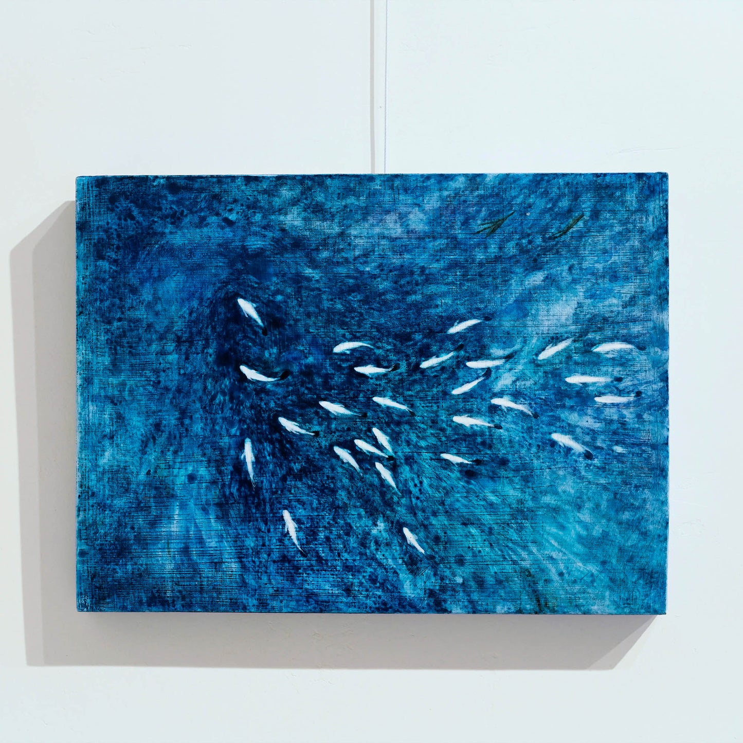 久保晶 | 潮の道